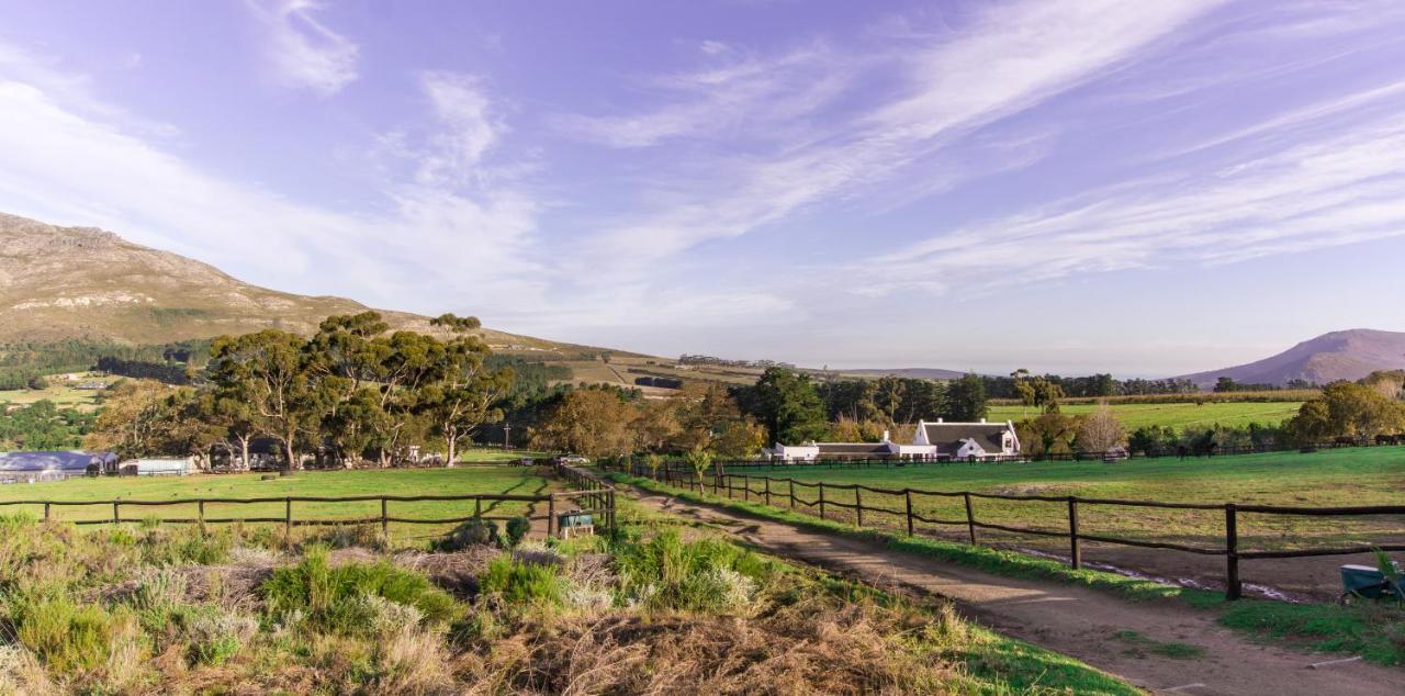 Hotel Hemel 'N Aarde Stud Hermanus Exterior foto